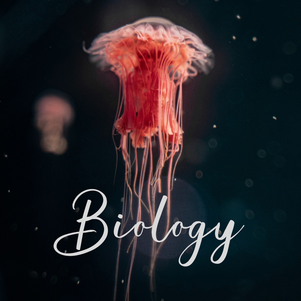 Biology (Apologia)